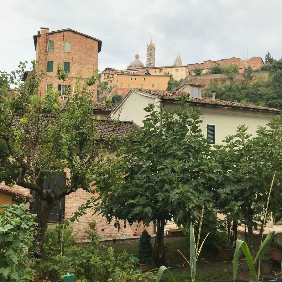 To Dream In Siena Apartment Exterior foto